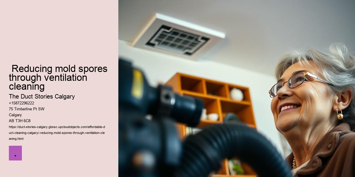  Reducing mold spores through ventilation cleaning